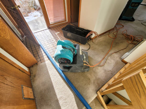 Best 24-hour water damage restoration  in Shasta Lake, CA