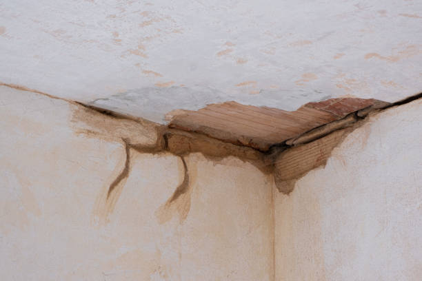 Best Mold removal after water damage  in Shasta Lake, CA