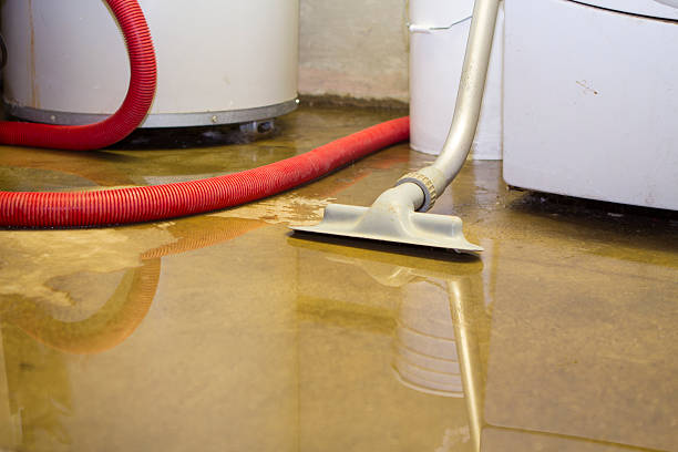 Best Professional water damage repair  in Shasta Lake, CA