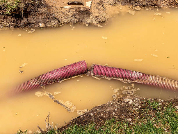 Best Water damage restoration near me  in Shasta Lake, CA