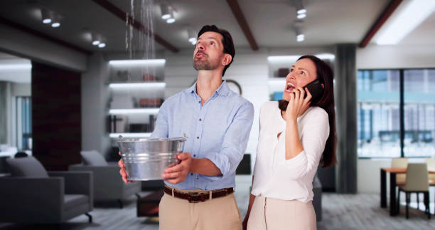 Best Water damage contractors near me  in Shasta Lake, CA